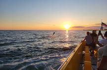 Dolphin and Sunset tour aboard the Hydro Rocket