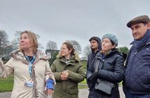 Cardiff Half Day Tour 