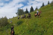 Legends of Issyk-Kul: Burana Tower & Lake Tour from Bishkek