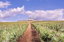 Ronda Wine Tasting with Tapas in a Scenic Vineyard