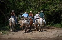 Rincon de la Vieja Exclusive Eco Adventure 12 in 1 Day Pass