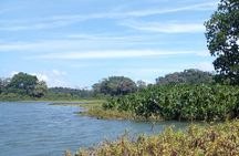 Guided Monkey Island Tour and the Sloth Sanctuary Visit