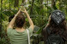 La Fortuna Rainforest Guided Night Tour