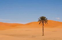 Marrakech to Sahara Desert 3-Day Tour Dunes Oasis