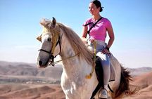 GoRocco Agafay Desert Horse Camel Quad Swim Dinner show