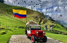 Private Full Day Tour in Cocora Valley and Coffee Farm