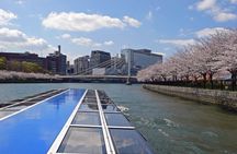 Cherry Blossoms Cruise and Osaka Castle Spring Tour