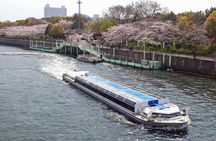 Cherry Blossoms Cruise and Osaka Castle Spring Tour