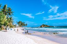 Customized 11-Day Flexible Sri Lanka Tour with Private Car