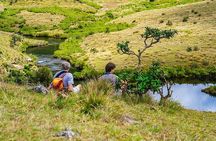 Customized 11-Day Flexible Sri Lanka Tour with Private Car