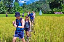 2 Day Chiang Mai Jungle Trek with Hill Tribes and Bamboo Rafting