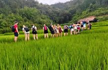 2 Day Chiang Mai Jungle Trek with Hill Tribes and Bamboo Rafting