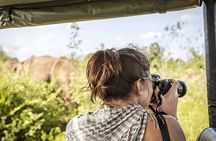 Private Tour from Ella to Tangalle with Udawalawe Safari