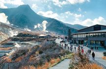 Mount Fuji & Hakone: 1-Day Private Van Tour with Hotel Pick-Up