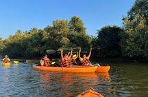 Kayaking At Private Island In Goa