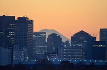 Lights of Tokyo: Tokyo Bay, Ginza and Shinbashi