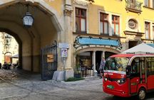 Wroclaw tour with e-bus, 2 h (English guide) group 1-4 people.