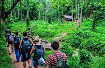 3-Day Chiang Mai Jungle Trek and Bamboo Rafting