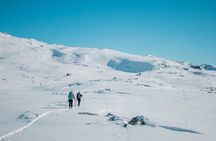 Trolltunga Winter Day Hike