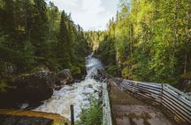 From Rovaniemi: Full Day Tour to Lapland's Attractions 5in1