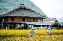 2-Day Sapa Trekking 4 Villages Overnight in Ta Van 