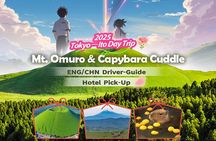 Tokyo-Izu: Volcano, Ocean& Capybara Cuddle with Izu Scenic Train