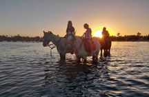 Crossing the Lagoon DE Djerba on Horseback an unforgettable breakaway