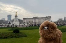 London Private Guided City Tour by Car