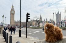 London Private Guided City Tour by Car