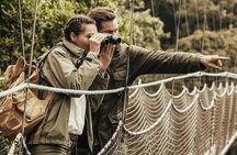 2 Days 1 Night Nyungwe Chimpanzees, Canopy, King Palace &Tea tour