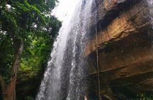 Shimba Hills National Reserve Day Tour with Sheldrick Falls