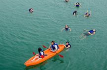 2 Day Lan Ha Bay Kite Cruise Adventure from Hanoi 