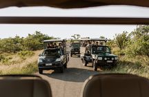 Six On Safari to Hluhluwe Imfolozi Game Reserve