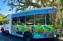 Ko Olina to North Shore Adventure with The Surf Bus 