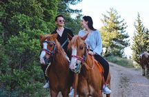 Horse Ride with Mountain Views