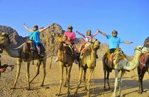Sharm Desert Artificial Pyramid and Bedouin Experience