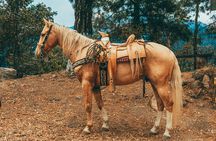 Horse Ride with Mountain Views