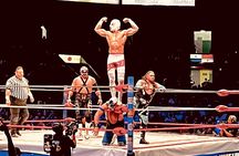 Tour Lucha Libre ,Tacos, Tequila and Mezcal in Mexico City 