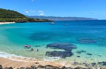Ko Olina to North Shore: Waimea Falls, Snorkel & Dole Plantation