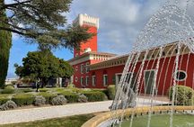 Half-day Wine Tour in Bellet wine region from Nice