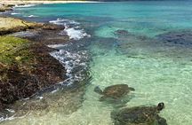 Ko Olina to North Shore: Waimea Falls, Snorkel & Dole Plantation