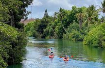 Oahu North Shore Fun: Waimea Waterfall & Turtle Snorkeling