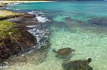 Oahu North Shore Fun: Waimea Waterfall & Turtle Snorkeling