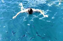 Makarska: 3 Island Speedboat Tour with Little Blue Cave & Lagoon