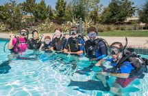 Abu Dhabi: PADI Discover Scuba Diving Program