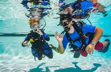Abu Dhabi: PADI Discover Scuba Diving Program