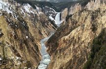 Yellowstone Full Day Tours 