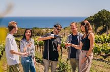 Barcelona Sailing Adventure and Small Group Winery Tasting Tour