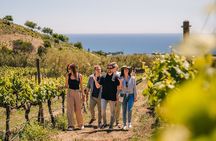 Barcelona Sailing Adventure and Small Group Winery Tasting Tour