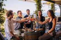 Barcelona Sailing Adventure and Small Group Winery Tasting Tour